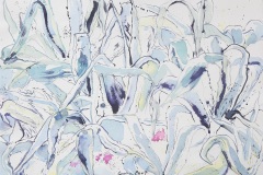 acquerello 56 x 76