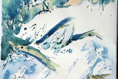 acquerello cm. 76 x 56