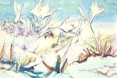 acquerello- m 56 x 76