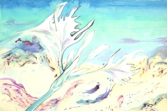 acquerello cm 56 x 76