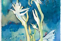 acquerello cm. 76 x 56