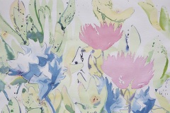 acquerello cm 56 x 76