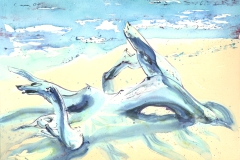 acquerello cm 56 x 76