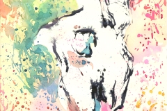 acquerello cm 50 x 40